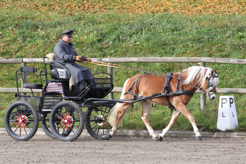 Neustart als Reservesieger der HLP in Moritzburg (c) Peter Tendler