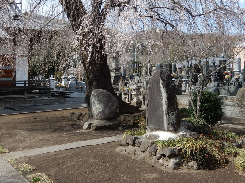 桜の碑と芭蕉句碑