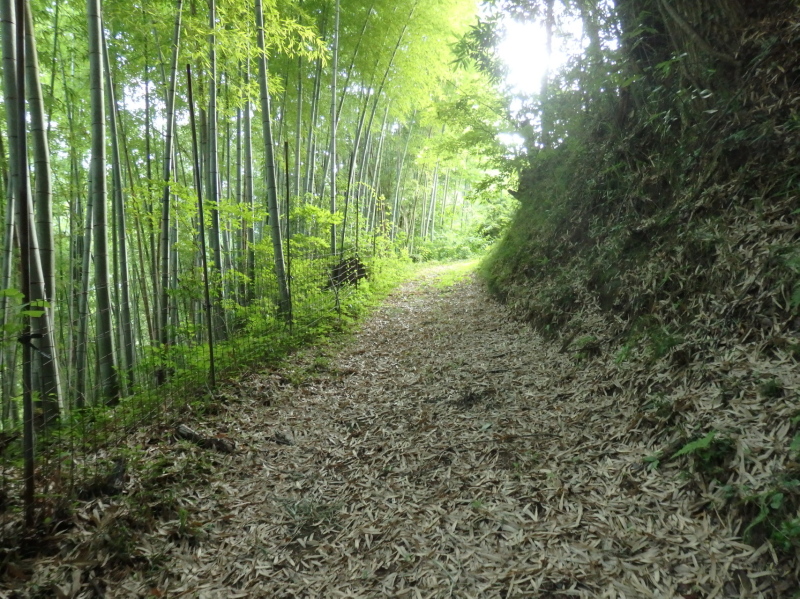 c04-2　清水寺に向かう街道