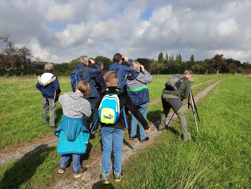Vogelbeobachtung im Naturschutzgebiet "Pfinzquellen" am 03.10.2022 (Ben Guthmann)