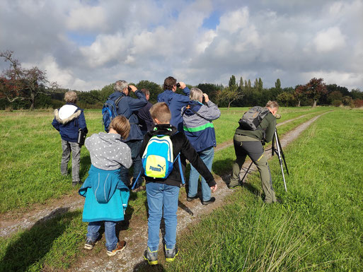 Vogelbeobachtung im Naturschutzgebiet "Pfinzquellen" am 03.10.2022 (Ben Guthmann)