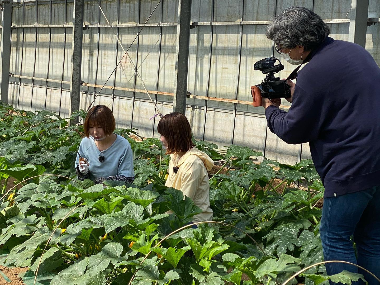 横須賀市　よこすか野菜PR動画　撮影風景