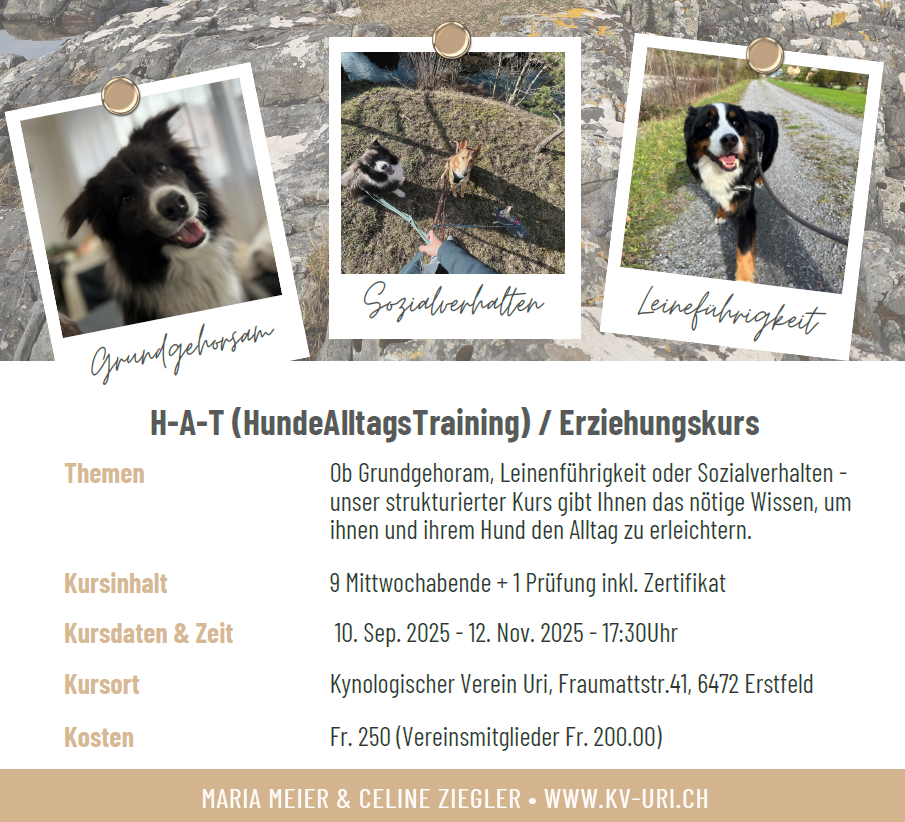 Wechsel in der Kursleitung – mit Dank zurück und mit Freude nach vorn