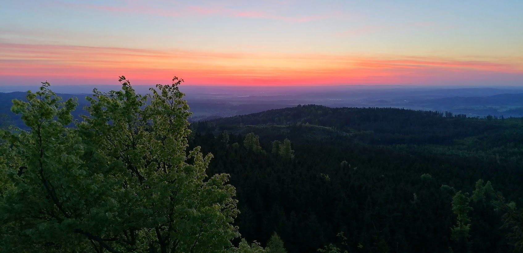 Und jährlich grüßt das Murmeltier