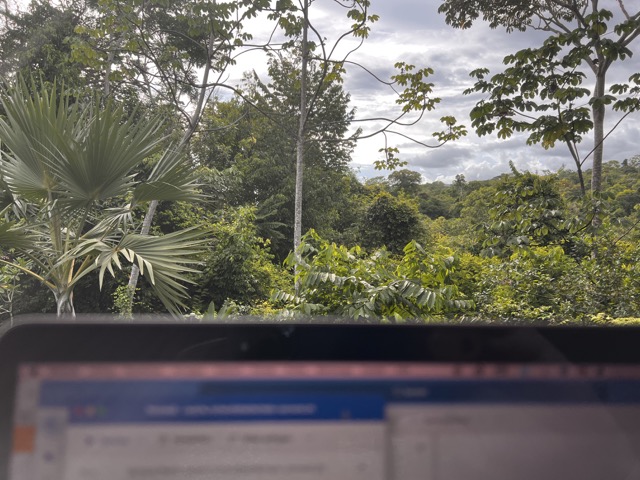 3 jungle essentials
