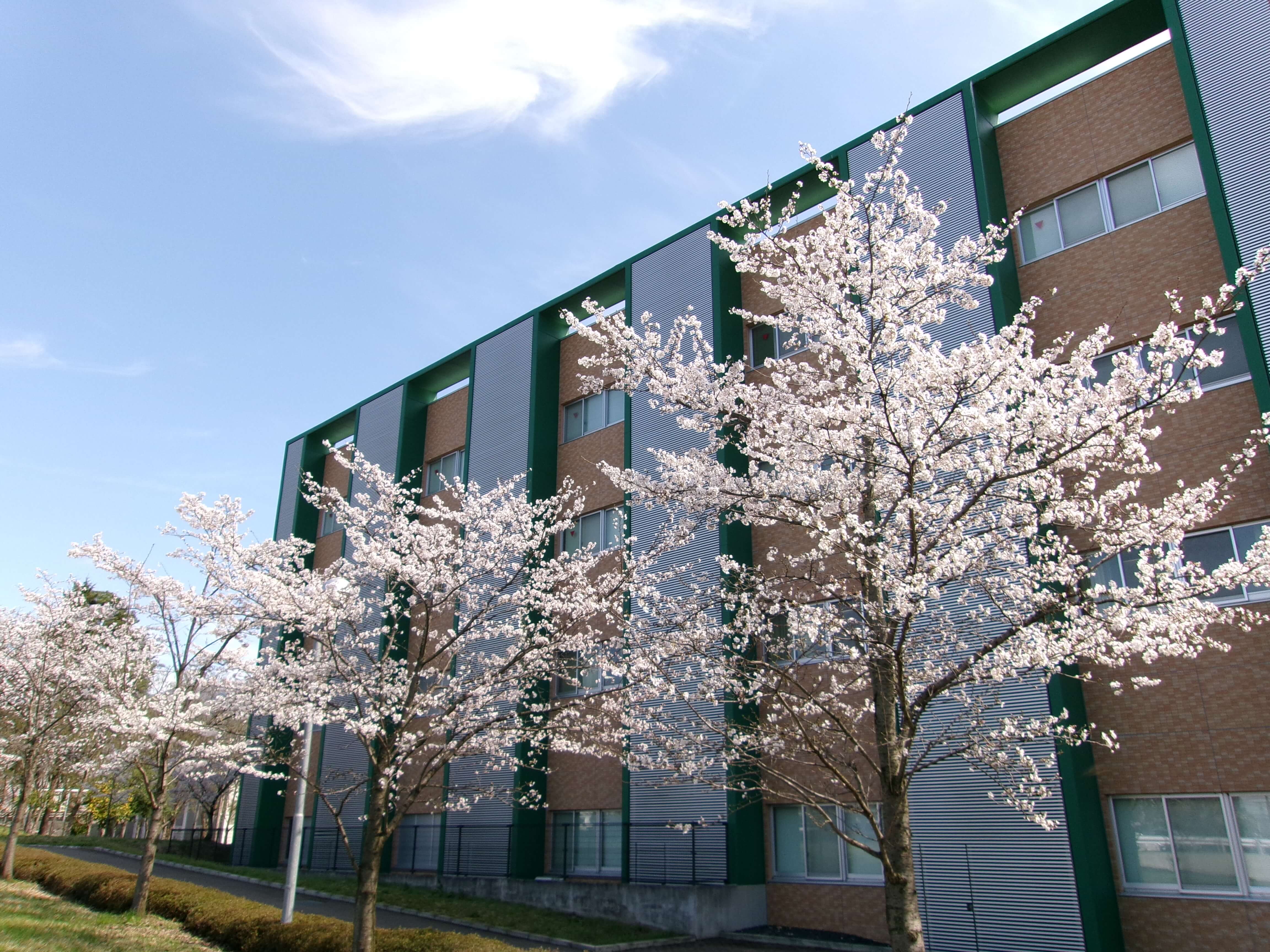 山形大学 Departments(EN) - 山形大学Well-Being研究所