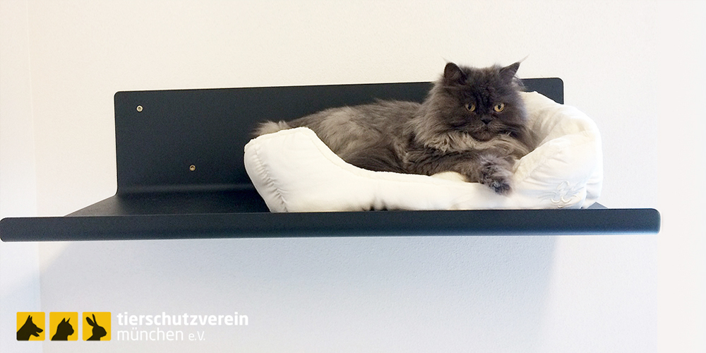 Über uns - Design Katzenmöbel und moderne Katzenausstattung