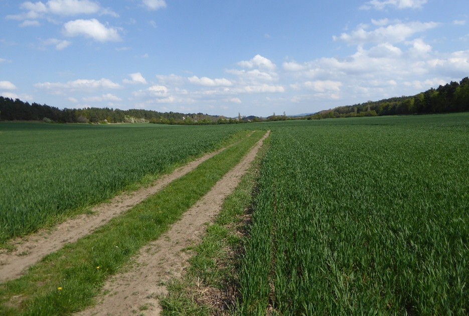 Südlich des Hügels ist der alte Stadtweg zu sehen. 
