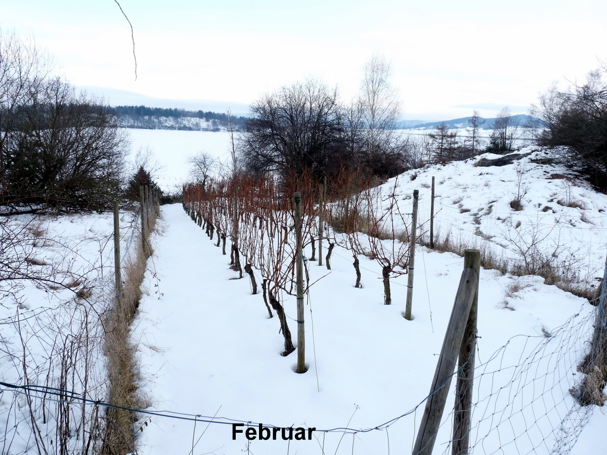 Der Schnee deckt alles zu