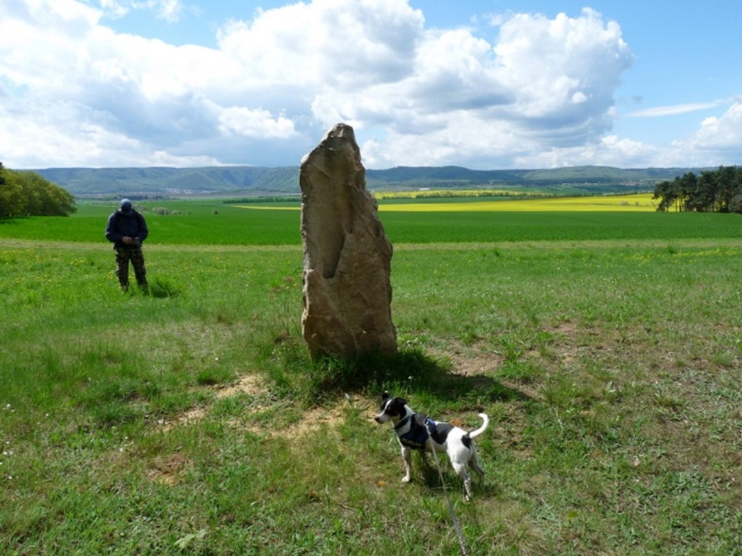Dier Harzberge sind im Panorama gut zu sehen