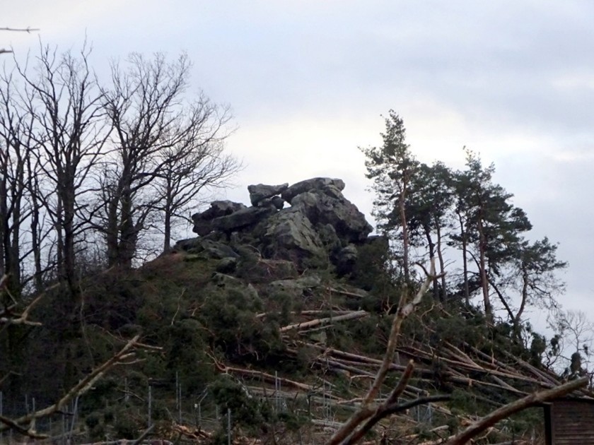 So sieht die Felsenkuppe jetzt nach dem Waldsterben aus.
