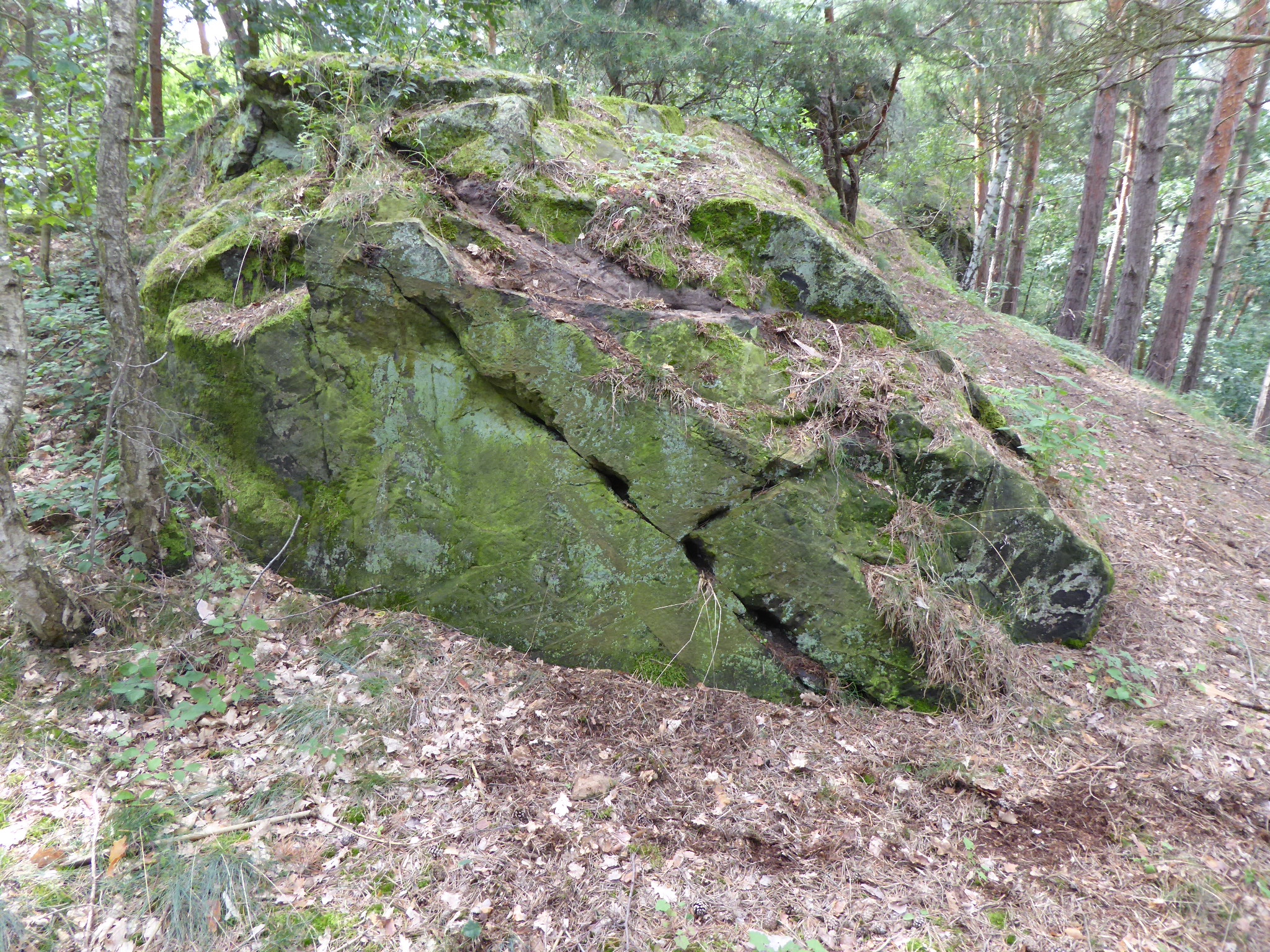 Am Felsen daneben wurden Platten wie die für das Steinkistengrab.geschlagen 