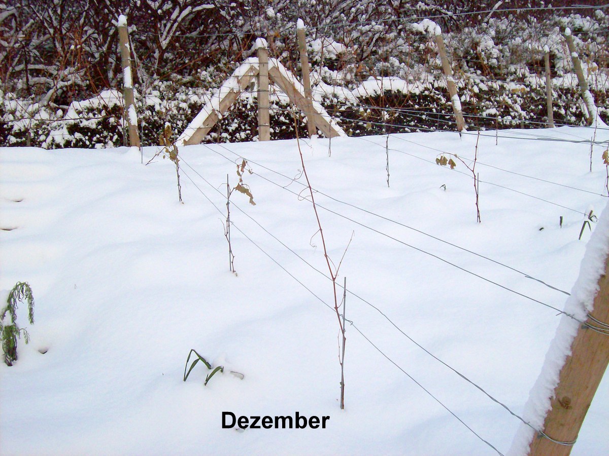 Der Schnee ist der Mantel
