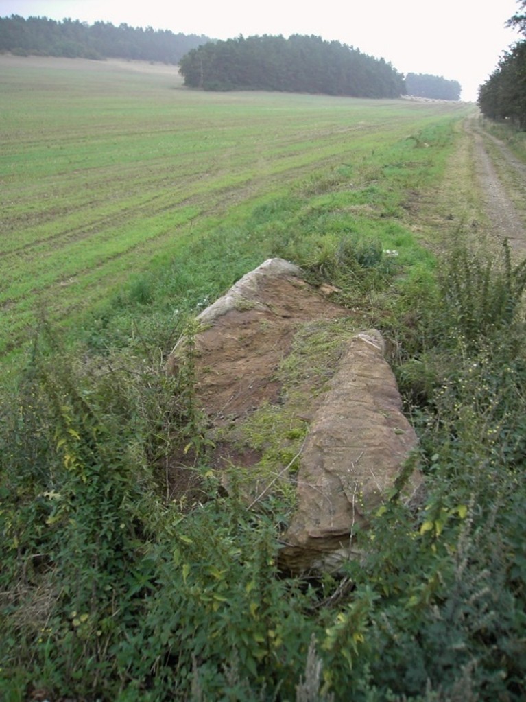 Er wurde dort in der Feldflur gefunden. Er ist 4,5 m lang und 1 m breit. 
