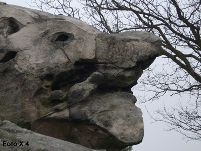 Viele der Felsen hier oben haben sehr skurile Formen.
