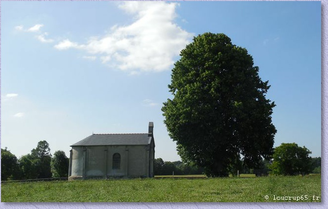  en arrivant depuis la forêt (photo loucrup65)