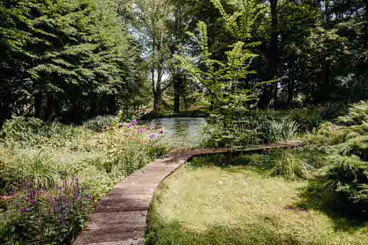 Weg zum Teich auf Gut Bardenhagen