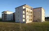 Albarella