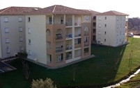 Albarella