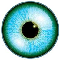 congres international methode bates france 2021