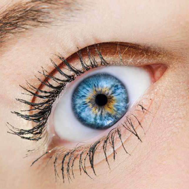 Les règles pour devenir bien myope