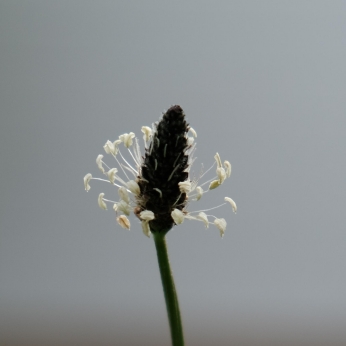 Bild: Viola Finger