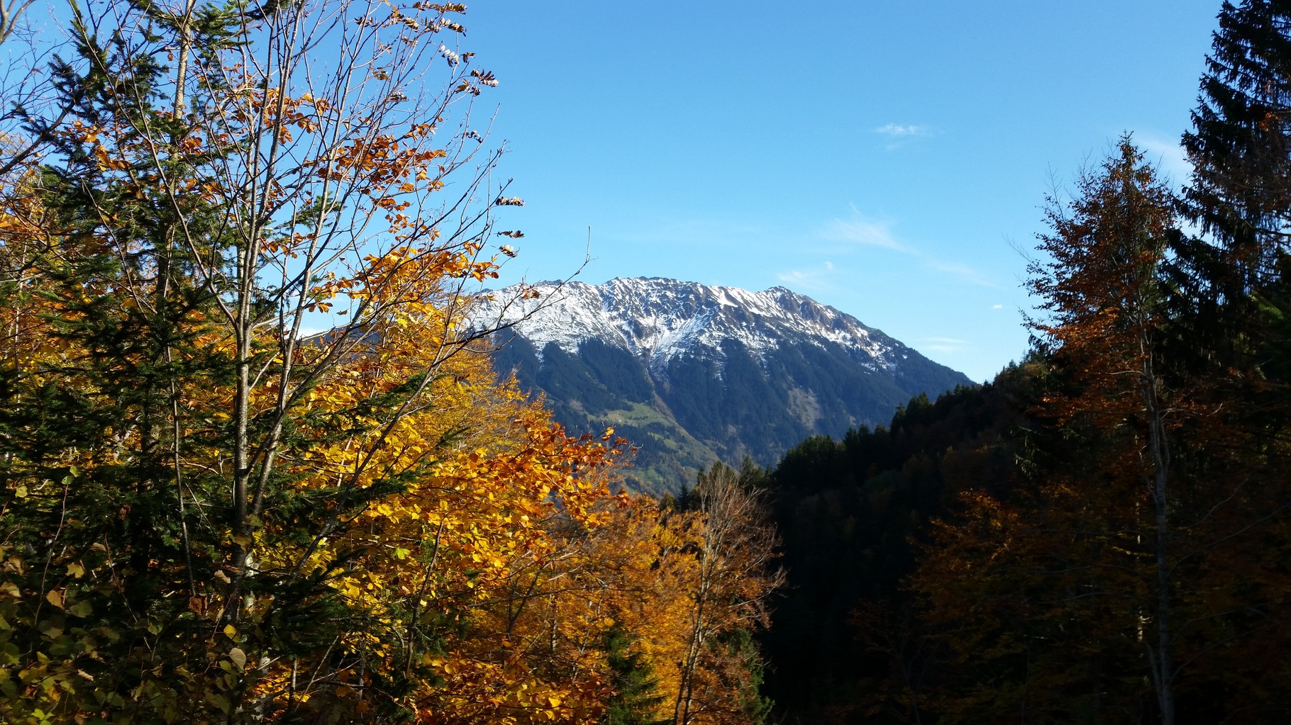 Blick zum Hochjoch 