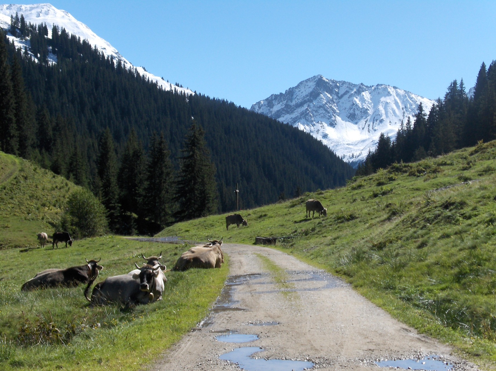 Impressionen aus dem Montafon 