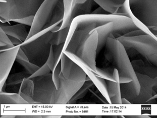 Figure 4: LDHs photo Fe-Sem magnitede 50k