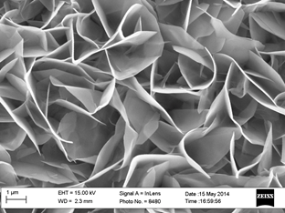 Figure 3: LDHs photo Fe-Sem magnitude 25k   