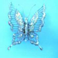 chihiro butterfly