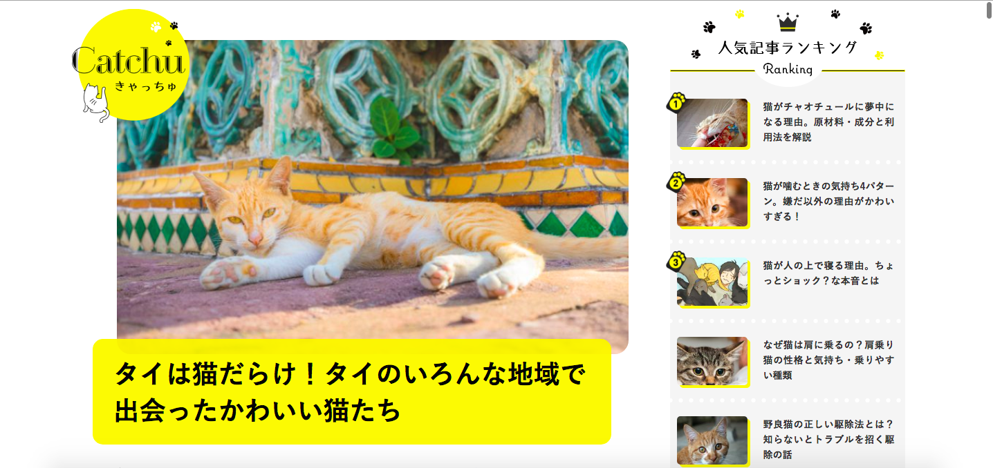 タイで猫と暮らす 猫専門 キャットシッターねこやま