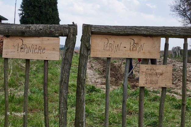 pépinière barrière d'entrée