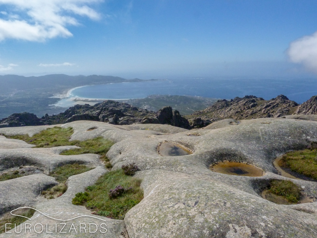 The peak area of Monte Pindo (Galicia): This mountain at the north-western edge of the Iberian Peninsula is home for Podarcis lusitanicus, Podarcis bocagei, Lacerta schreiberi, Timon lepidus and Iberolacerta monticola.