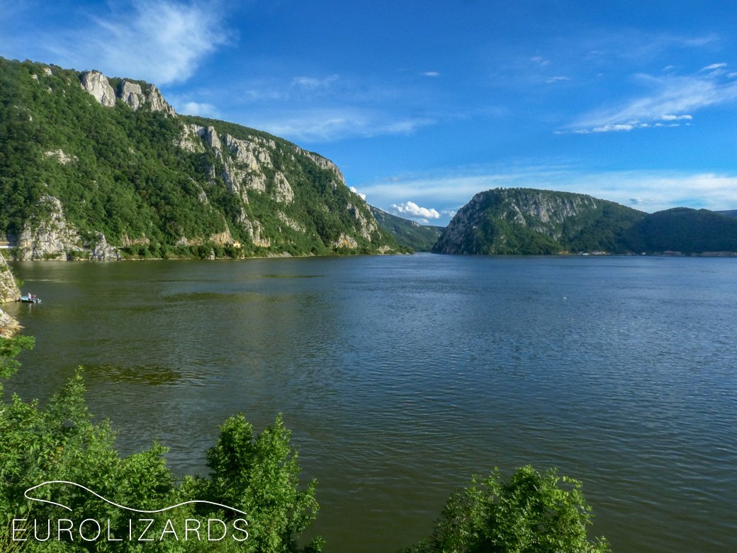 The forests along the Danube valley upstream of Dobreta Turnu Severin (Romania) are habitat for Darevskia praticola and Lacerta viridis.