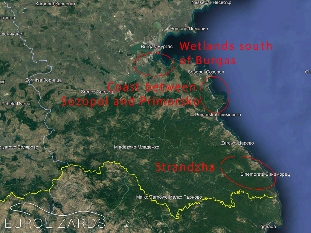 Overview of visited areas (Turkish-Bulgarian border marked in yellow)