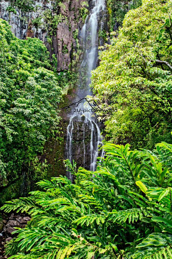 Bild: waterfall next Hwy to Hana