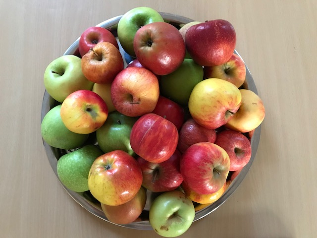 Die Kinder der 1a und 1b brachten jede Menge Äpfel mit!