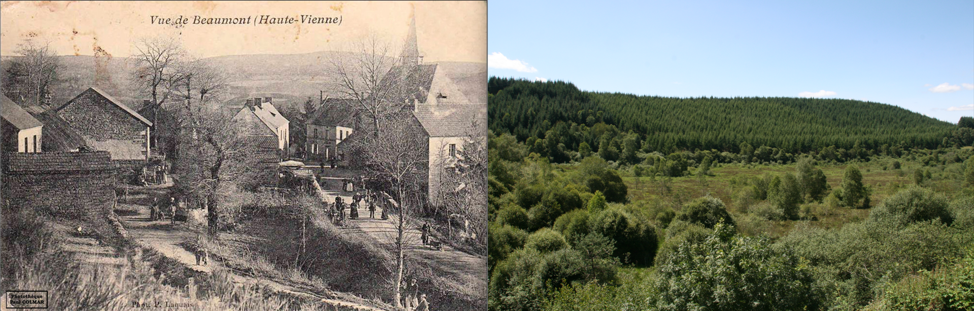 Séance 2 (CE-CM) - Evolution du paysage (exemple d'un paysage devenu forestier, à l'Est du territoire)