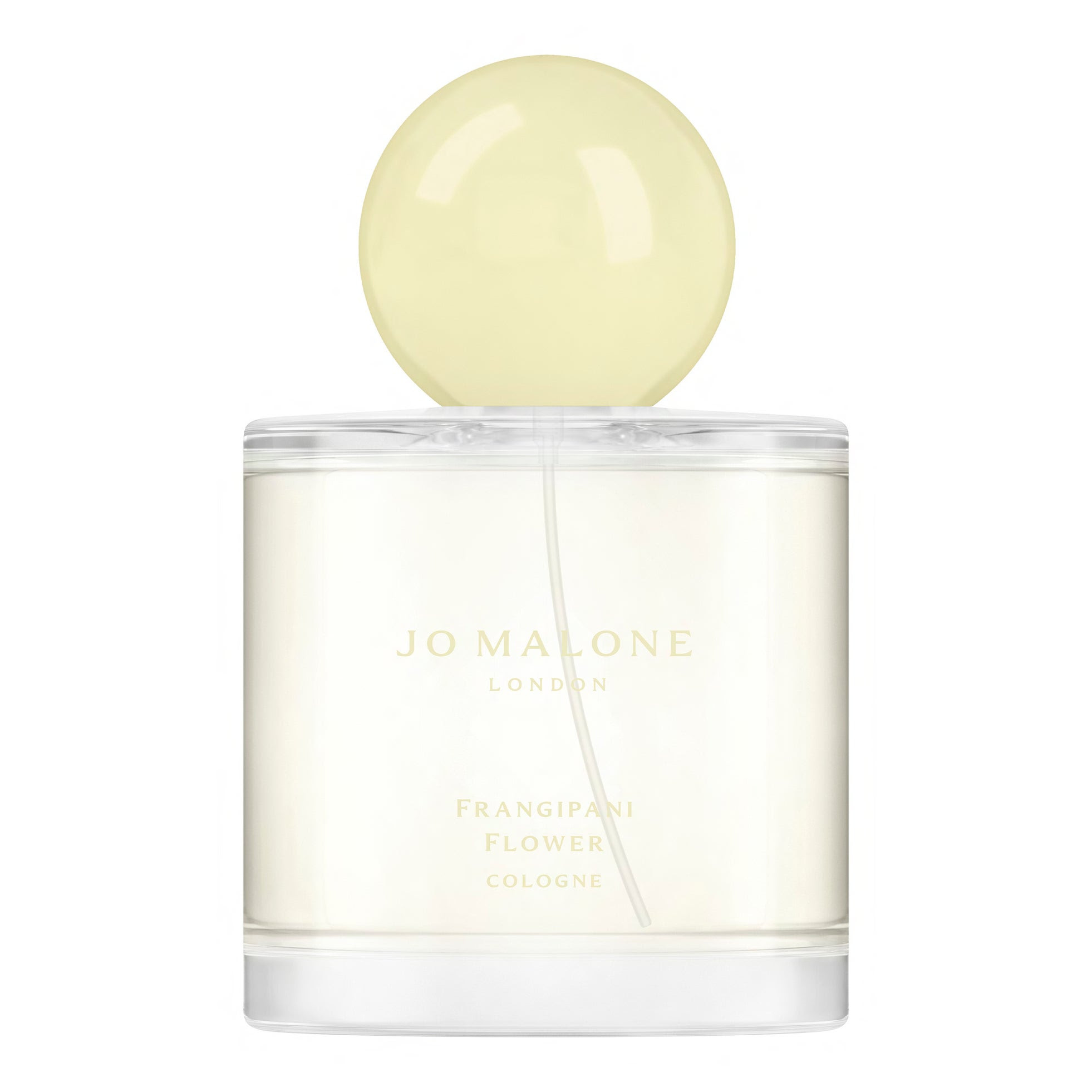 フランジパニ フラワー コロン 100mL 24,750円