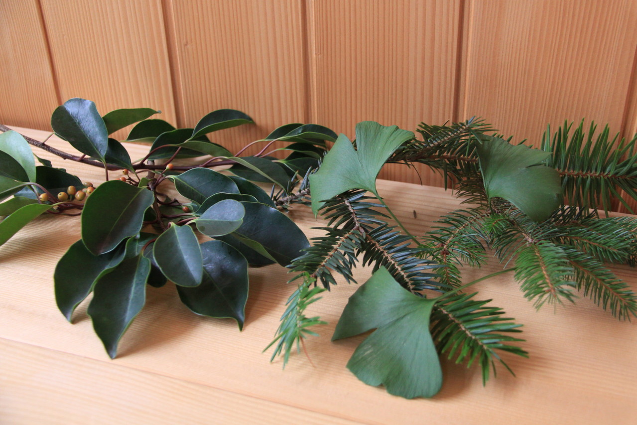 木のはなし 山下工務店 木に学び木に從う家づくり 樅の木の家