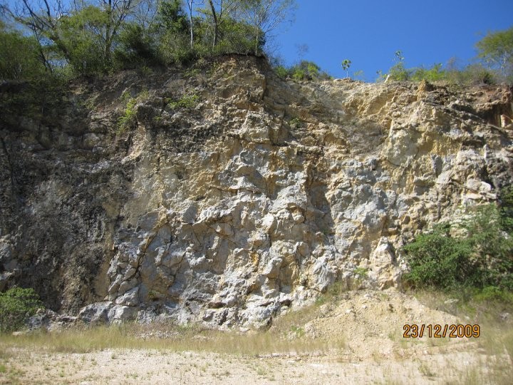 Evaluación ambiental de planta de extracción de carbonato de calcio, Cañas (2010)