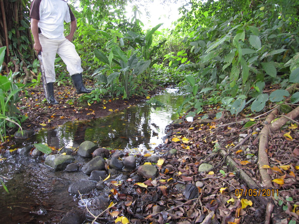 Diagnóstico técnico para aprovechamiento de agua, Guácimo (2011)