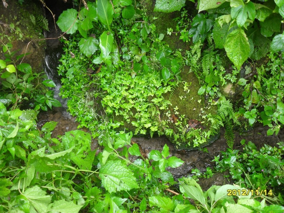 Evaluación Ambiental para concesiones de agua, Oreamuno (2012)