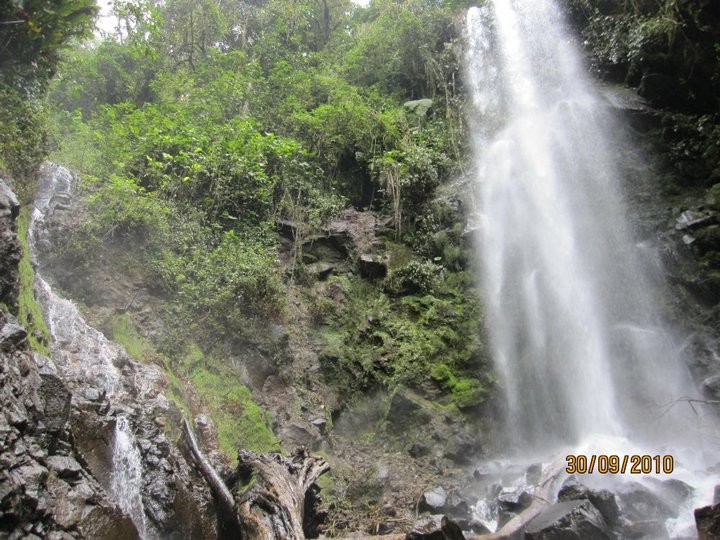 Concesiones de agua, Alvarado (2010)