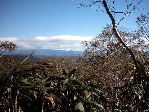 山頂からの風景