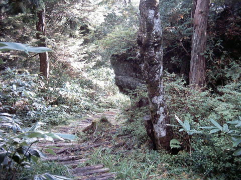 位山　登山道