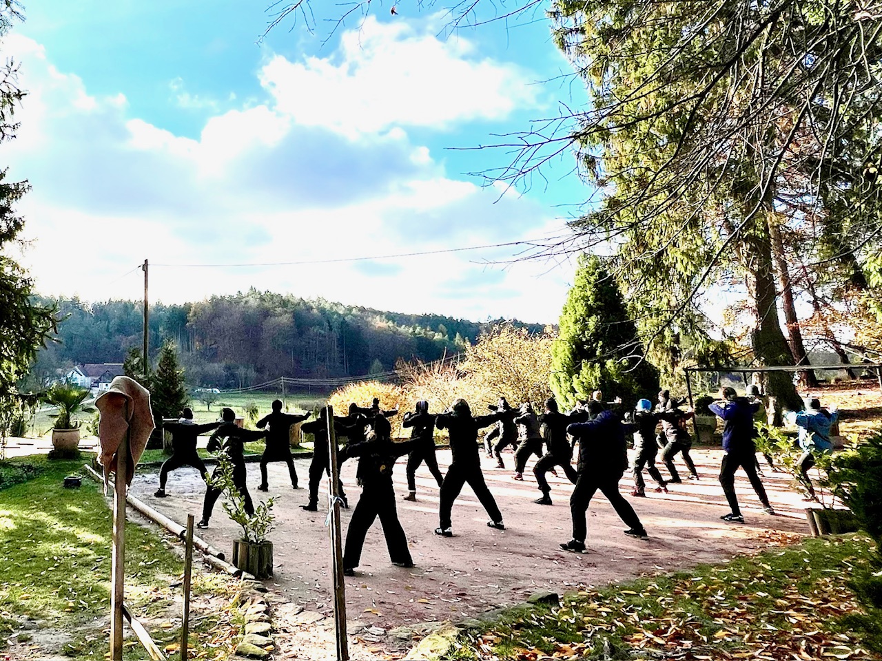 Eintauchen in die Welt des Qi Gong: Mein Retreat im Shaolin Temple Europe