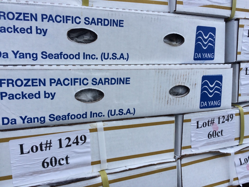 FROZEN SARDINE FROM USA