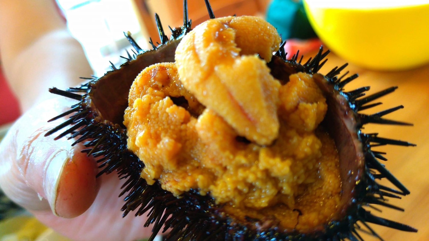 FRESH SEA URCHIN OF KESENNUMA